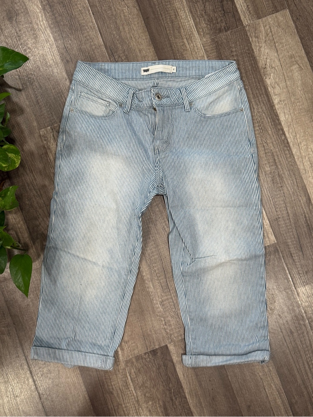 LEVI'S Blue & White Striped Capri Pant (4)